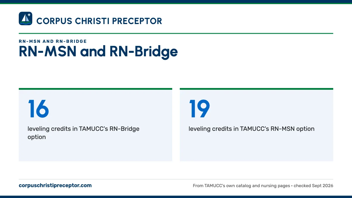 RN-MSN and RN-Bridge. 16: leveling credits in TAMUCC's RN-Bridge option; 19: leveling credits in TAMUCC's RN-MSN option.